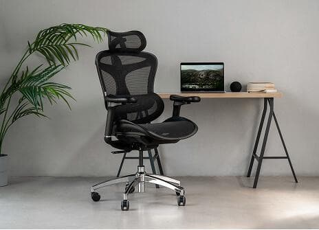 Ergonomic - Tiêu chuẩn bàn học sinh cấp 1 hiện đại nhất